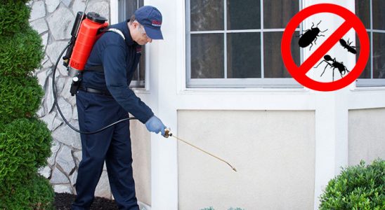 Tercan Kene İlaçlama böcek ilaçlama ve haşere kontrolü — ilaclama-tr.com